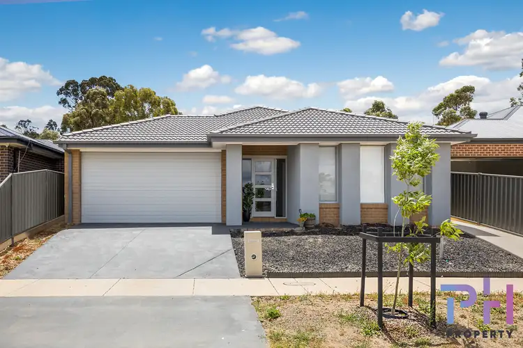 41 Hesse Avenue, Flora Hill VIC 3550