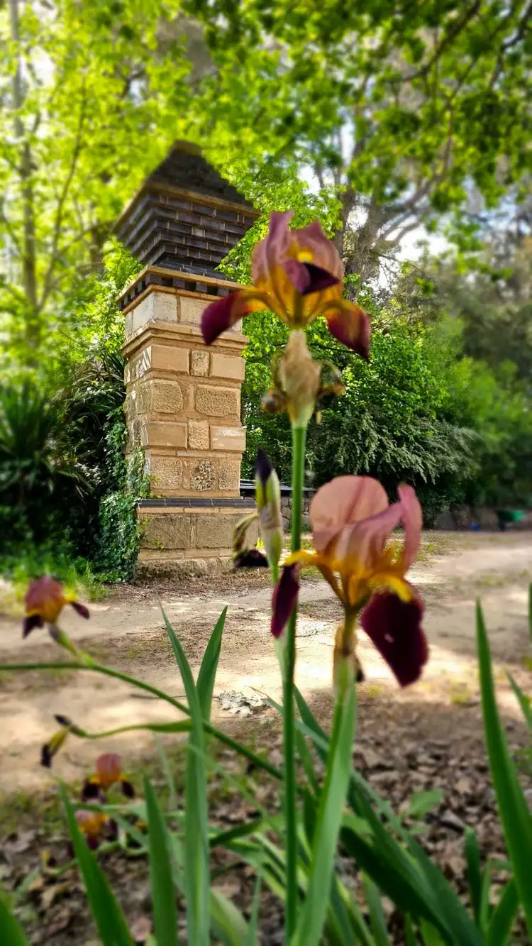 Sixth view of Homely rural property listing, Willowvale Mill, Mill Road, Laggan NSW 2583