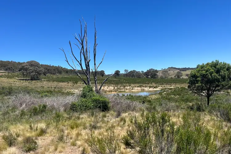 Second view of Homely rural property listing, 386 Williamsons Road, Lewis Ponds NSW 2800