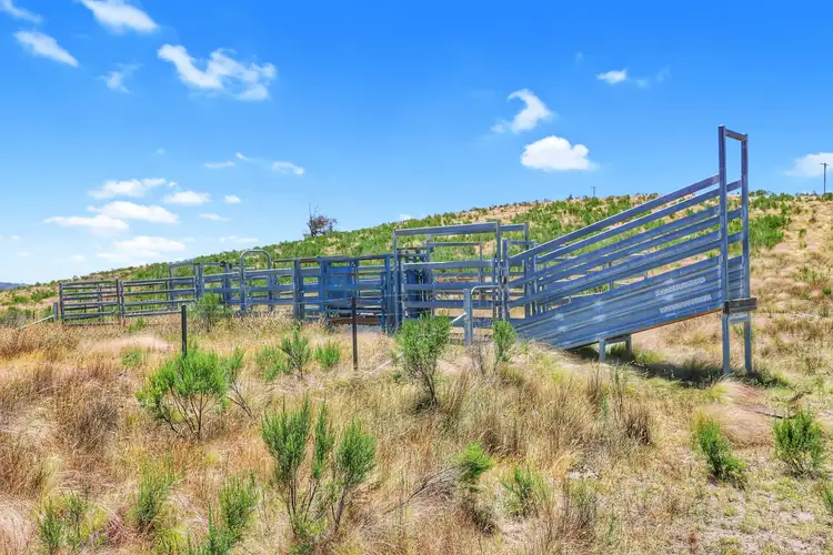 Fifth view of Homely rural property listing, 386 Williamsons Road, Lewis Ponds NSW 2800