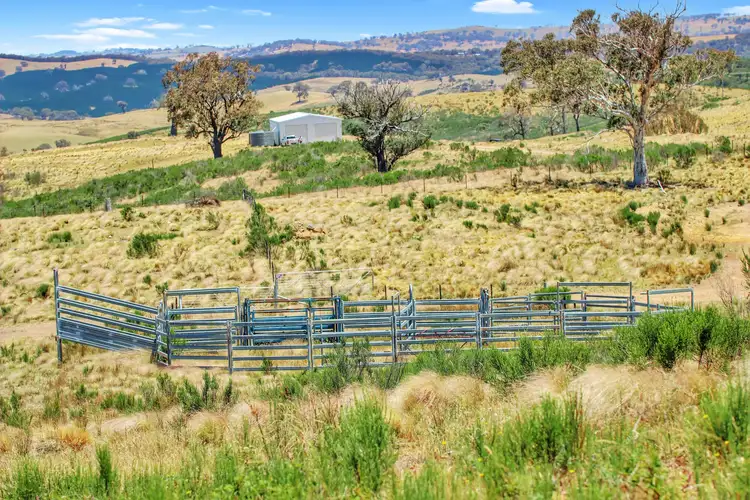 Sixth view of Homely rural property listing, 386 Williamsons Road, Lewis Ponds NSW 2800