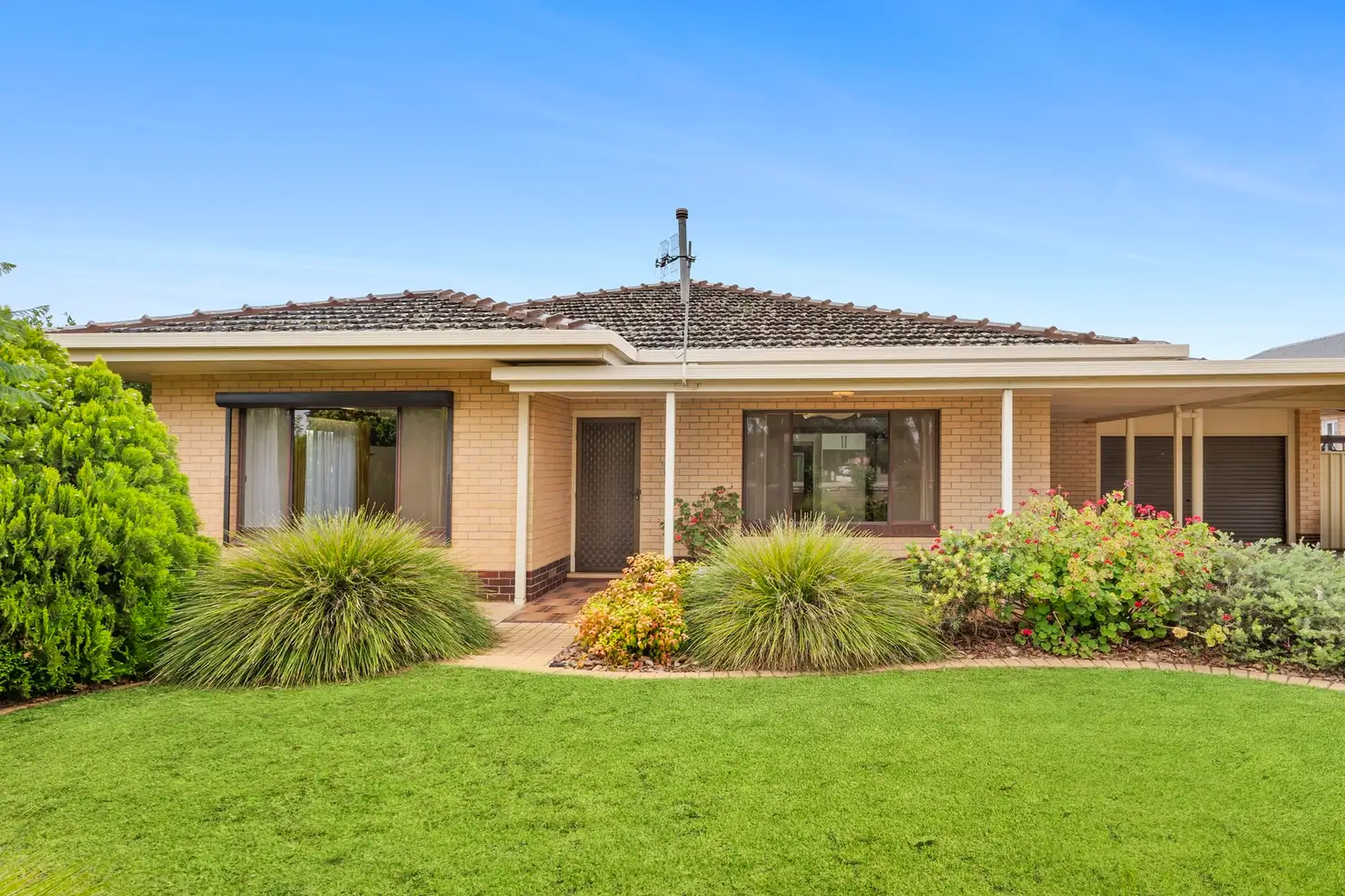 Main view of Homely house listing, 21 Kokoda Terrace, Loxton SA 5333