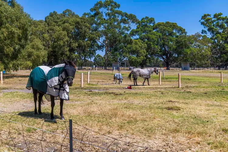 Third view of Homely house listing, 1201 Railway Parade, Bullsbrook WA 6084