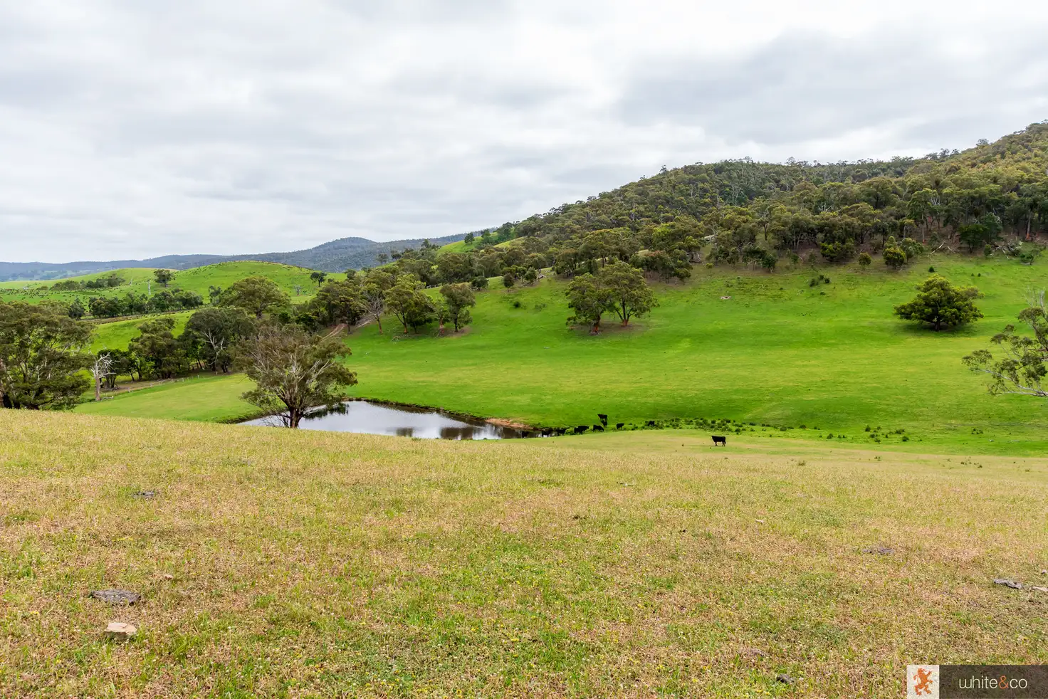 Main view of Homely land listing, 210 Dalls Road, Whittlesea VIC 3757
