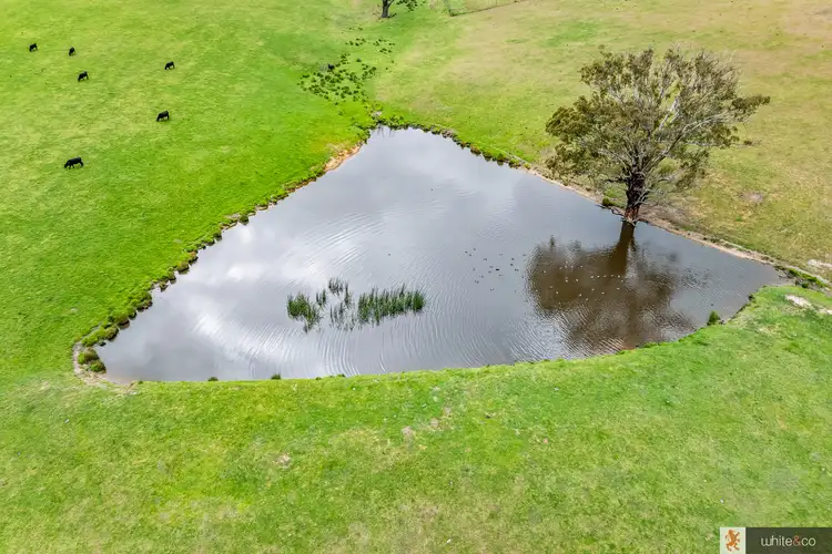 Fifth view of Homely land listing, 210 Dalls Road, Whittlesea VIC 3757