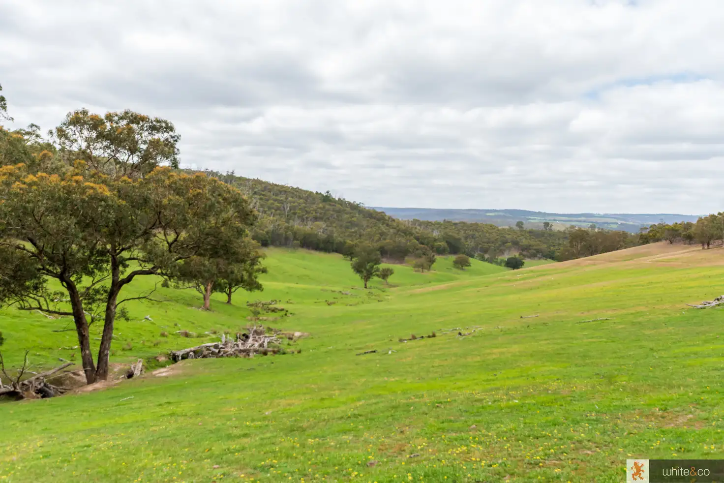 Main view of Homely land listing, 200 Dalls Road, Whittlesea VIC 3757