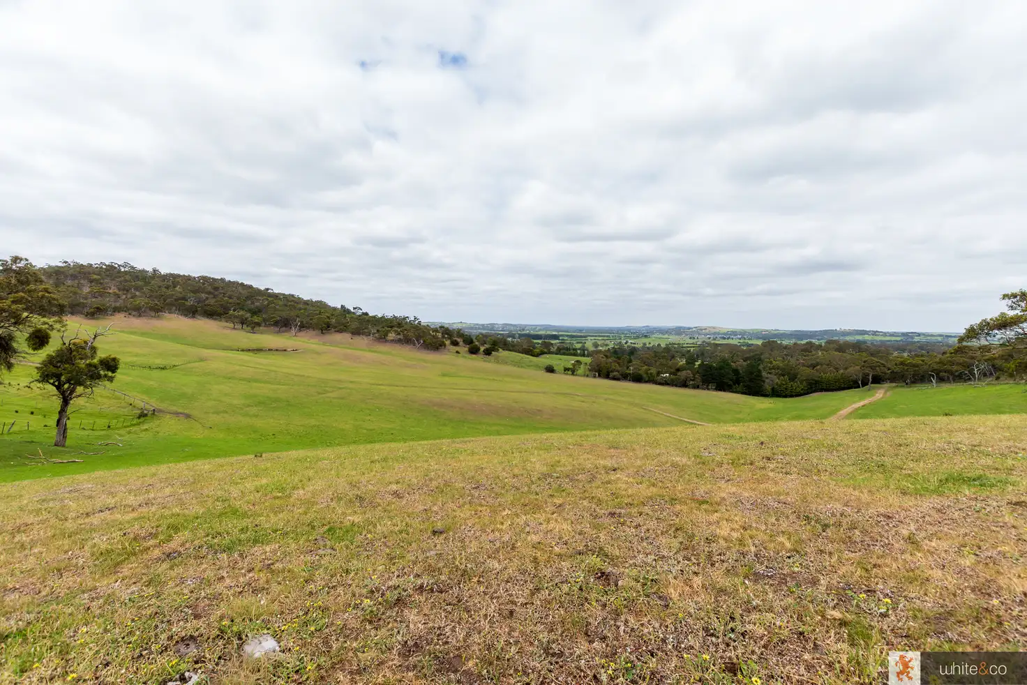 Main view of Homely land listing, 170 Dalls Road, Whittlesea VIC 3757