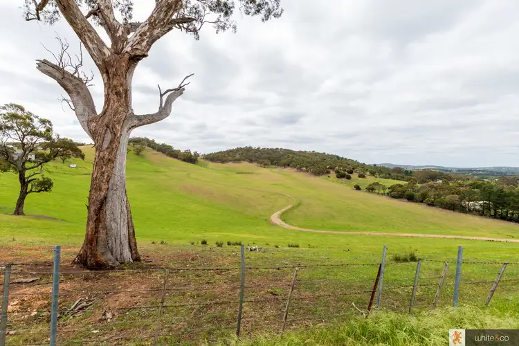 Second view of Homely land listing, 170 Dalls Road, Whittlesea VIC 3757