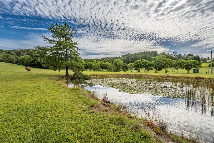 Third view of Homely rural property listing, 258 Bli Bli Road, Bli Bli QLD 4560