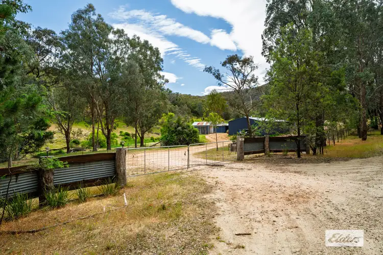 161 Ferndale Road, Woomargama NSW 2644