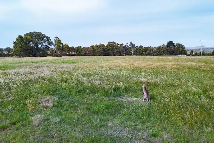 Third view of Homely land listing, 215 Nolans Road, Buninyong VIC 3357