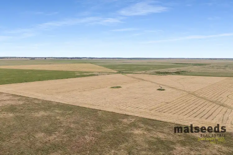 516 & 549 Conricks Road, Lucindale SA 5272