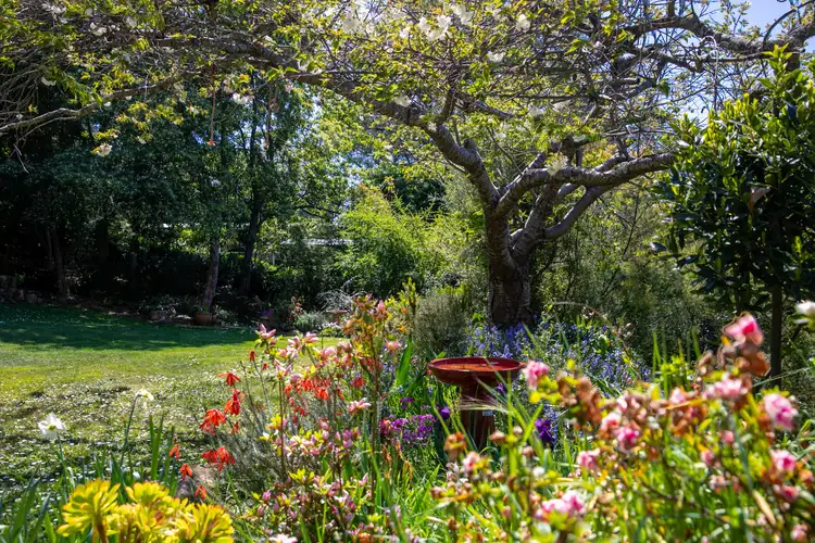 Sixth view of Homely house listing, 11 Murchison Street, Mittagong NSW 2575