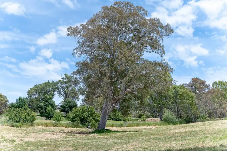 Fourth view of Homely land listing, LOT 1005 Waterford Avenue, Mount Barker SA 5251