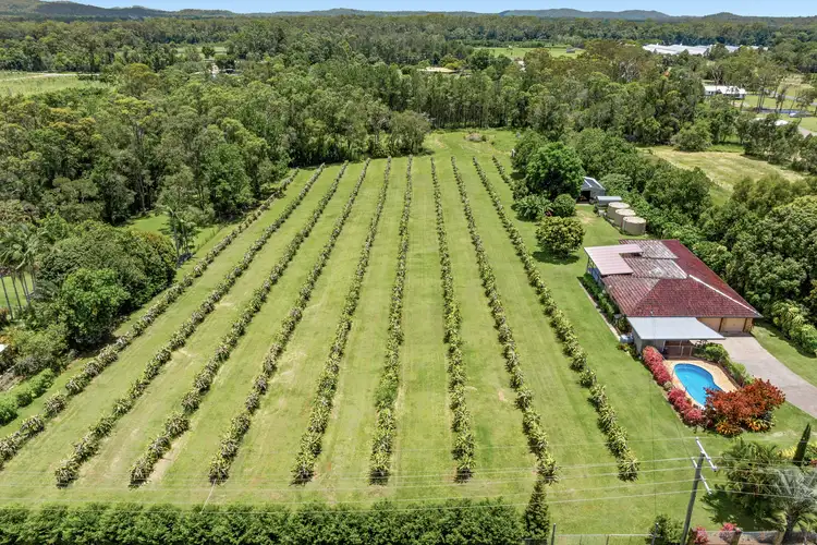 109 Fraser Road, Beerwah QLD 4519