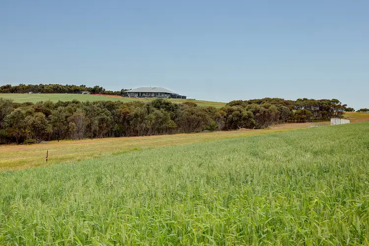 84 Lovegrove Lane, Whites Flat SA 5607