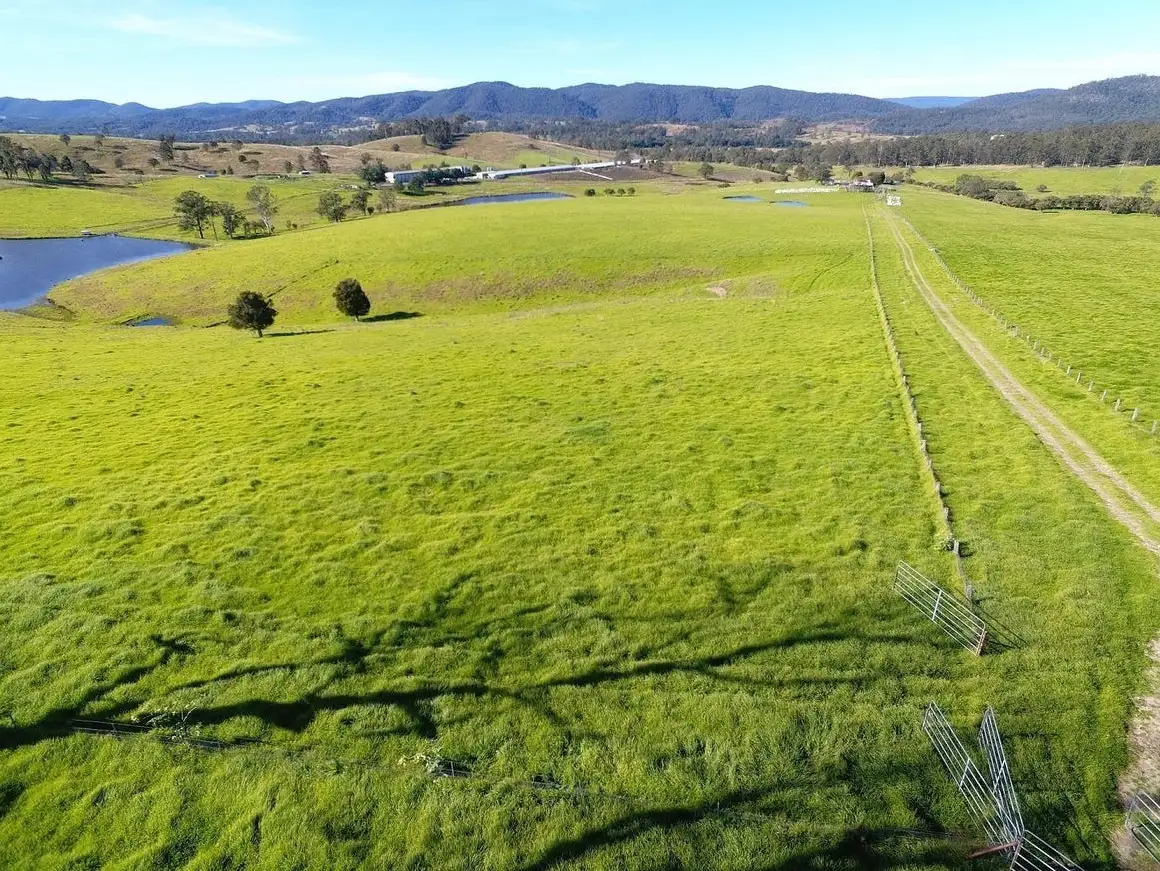 Main view of Homely rural property listing, 2135 The Bucketts Way, Wards River NSW 2422