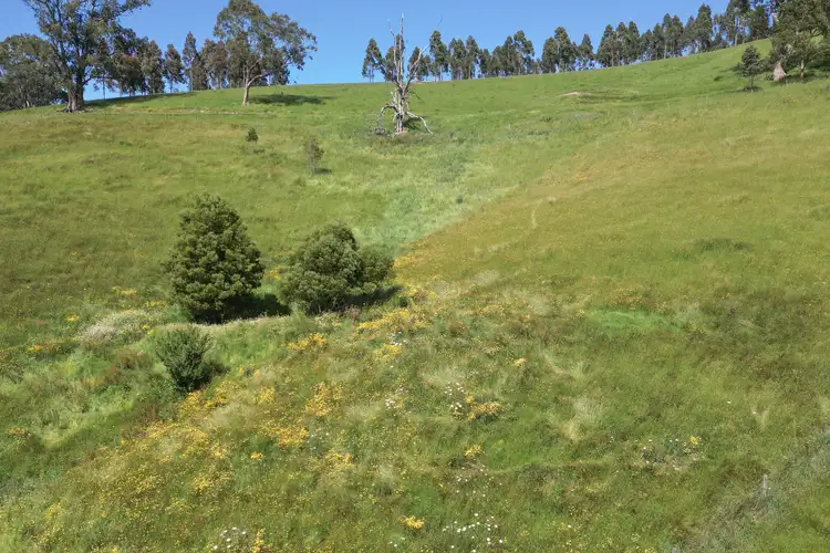 Sixth view of Homely rural property listing, LOT 1, 2045 Lardners Track, Torwood VIC 3821