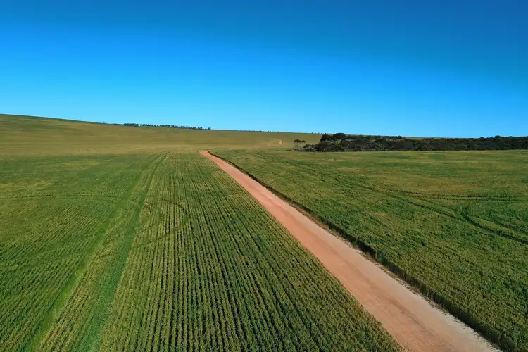 6062 Coorow-Greenhead Road, Warradarge WA 6518