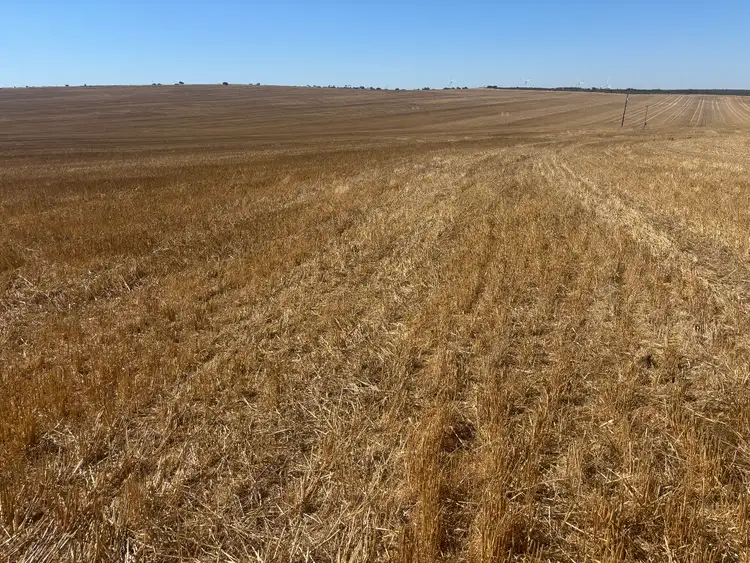 Seventh view of Homely rural property listing, 6062 Coorow-Greenhead Road, Warradarge WA 6518