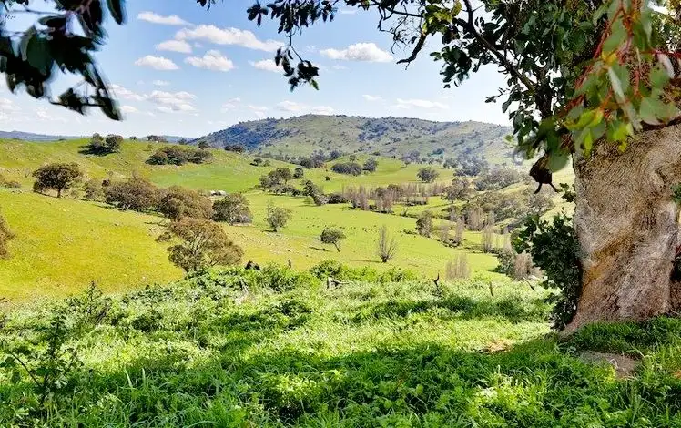 126 Sugarloaf Road, Sheans Creek VIC 3666