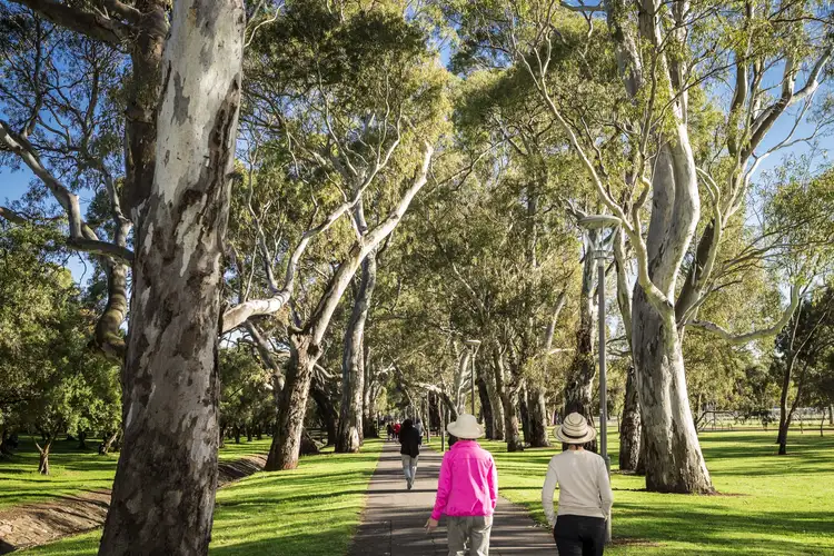 Third view of Homely apartment listing, 202/193 Angas Street, Adelaide SA 5000