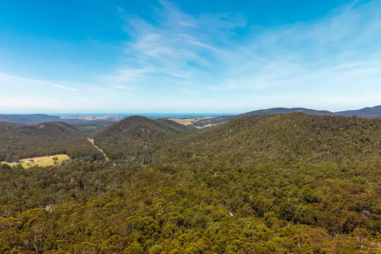 1824 Mount Darragh Road, Wyndham NSW 2550