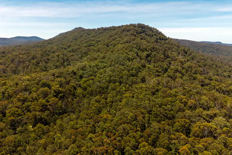 Second view of Homely rural property listing, 1824 Mount Darragh Road, Wyndham NSW 2550