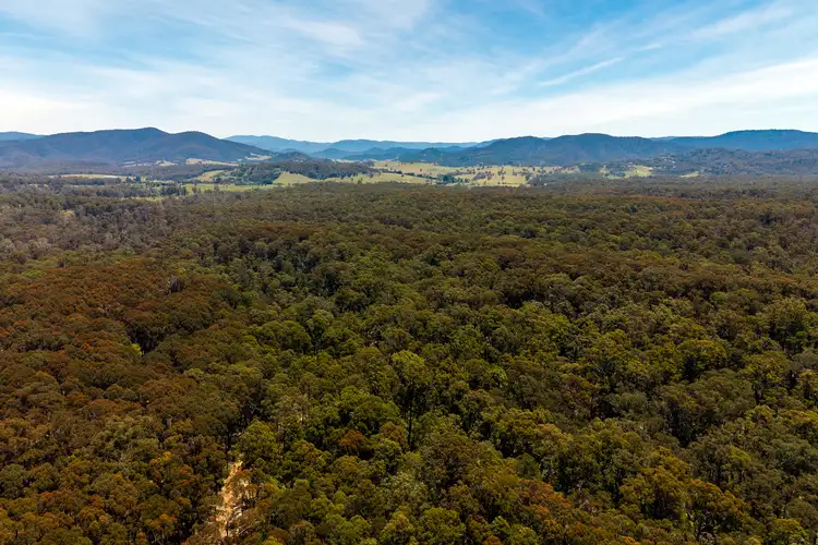 Third view of Homely rural property listing, 1824 Mount Darragh Road, Wyndham NSW 2550