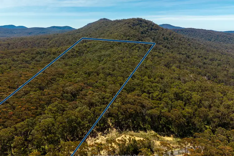 Fourth view of Homely rural property listing, 1824 Mount Darragh Road, Wyndham NSW 2550