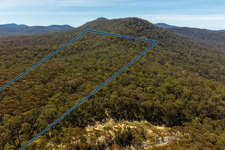 Fifth view of Homely rural property listing, 1824 Mount Darragh Road, Wyndham NSW 2550