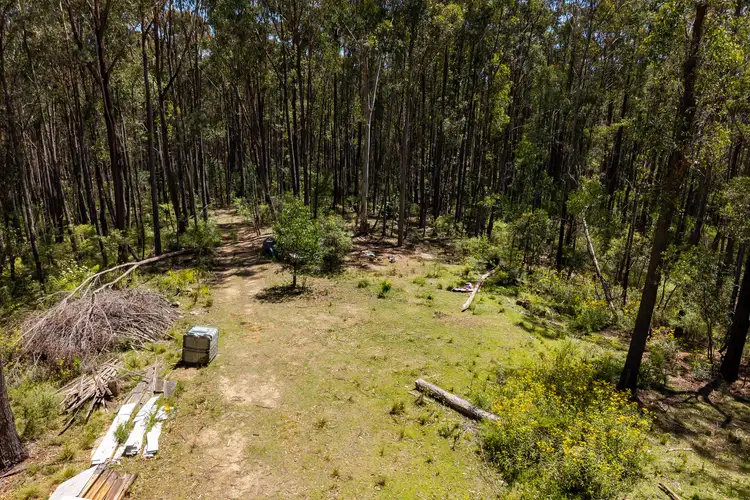 Sixth view of Homely rural property listing, 1824 Mount Darragh Road, Wyndham NSW 2550