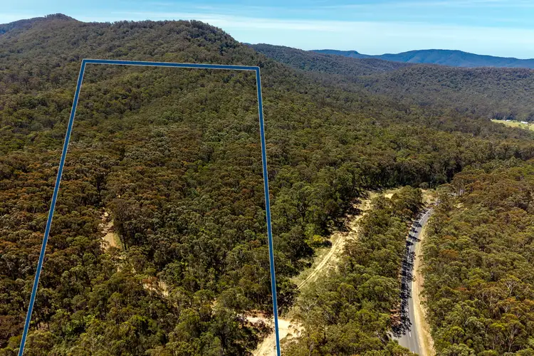 Seventh view of Homely rural property listing, 1824 Mount Darragh Road, Wyndham NSW 2550