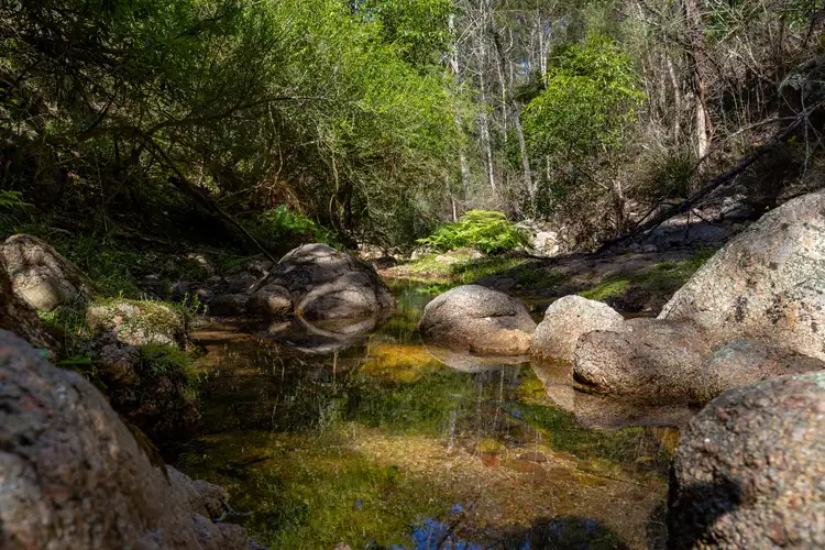 Third view of Homely land listing, 464 Dorrigo Road, Brogo NSW 2550