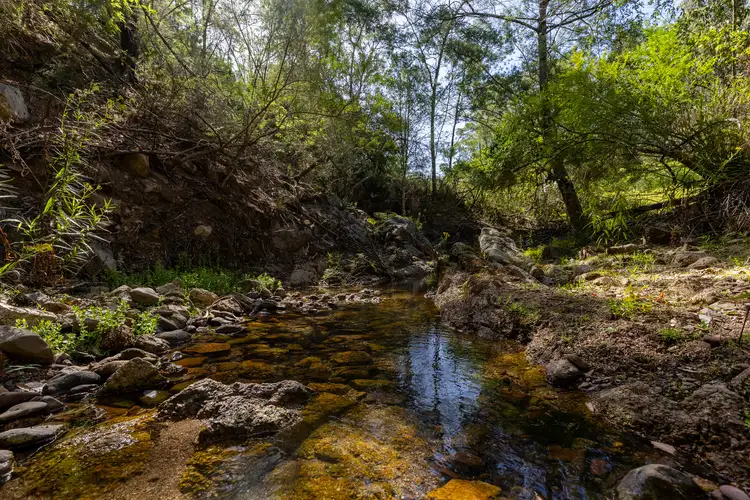 Fourth view of Homely land listing, 464 Dorrigo Road, Brogo NSW 2550