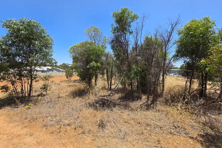 Third view of Homely land listing, 29 Fox Street, Narrogin WA 6312