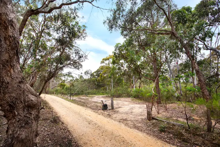 Fifth view of Homely land listing, 423 White Gum Track, Fryerstown VIC 3451