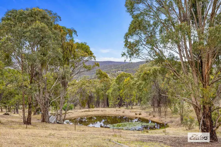 Seventh view of Homely rural property listing, 846 Landsborough-Elmhurst Road, Landsborough VIC 3384