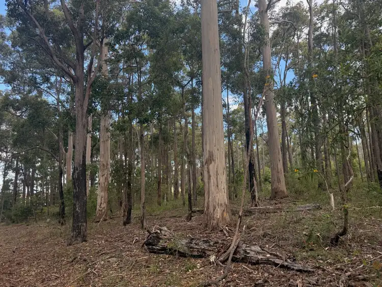 Sixth view of Homely rural property listing, Lot 10838 Piano Gully Road, Middlesex WA 6258