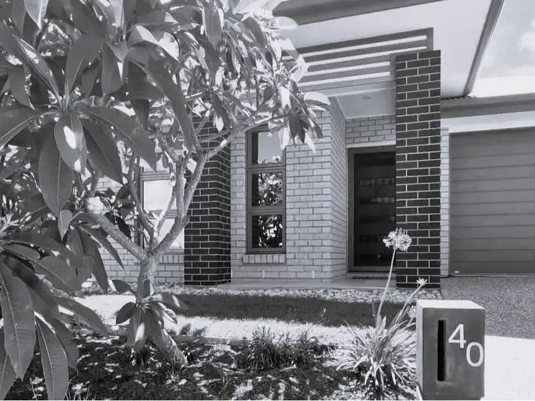 40 Water Gum Crescent, Ningi QLD 4511