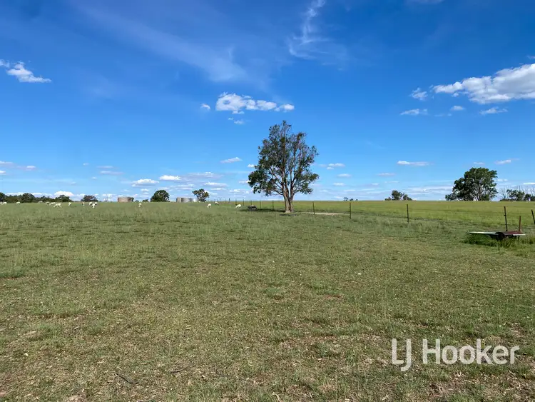 Sixth view of Homely rural property listing, 1223 Karoola Road, Inverell NSW 2360