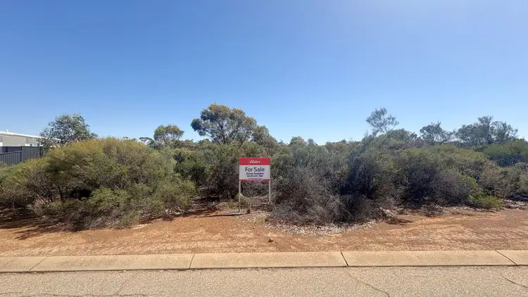 4 Shields Crescent, Wongan Hills WA 6603