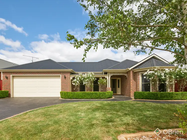 16 Wilson Court, Trafalgar VIC 3824