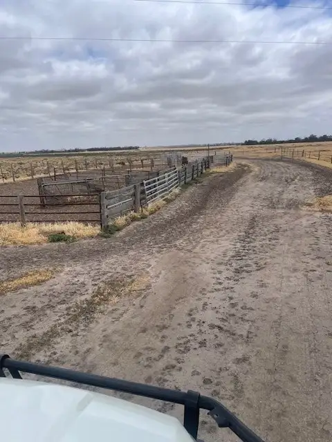 Sixth view of Homely rural property listing, LOT 6232 Moore Dam Road, Nyabing WA 6341