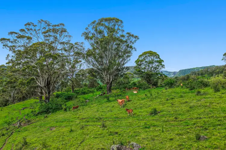 Sixth view of Homely rural property listing, 248 Illinbah Road, Illinbah QLD 4275