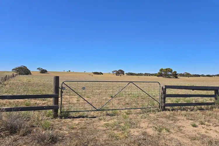 Lot 23 Billiatt Road, Lameroo SA 5302