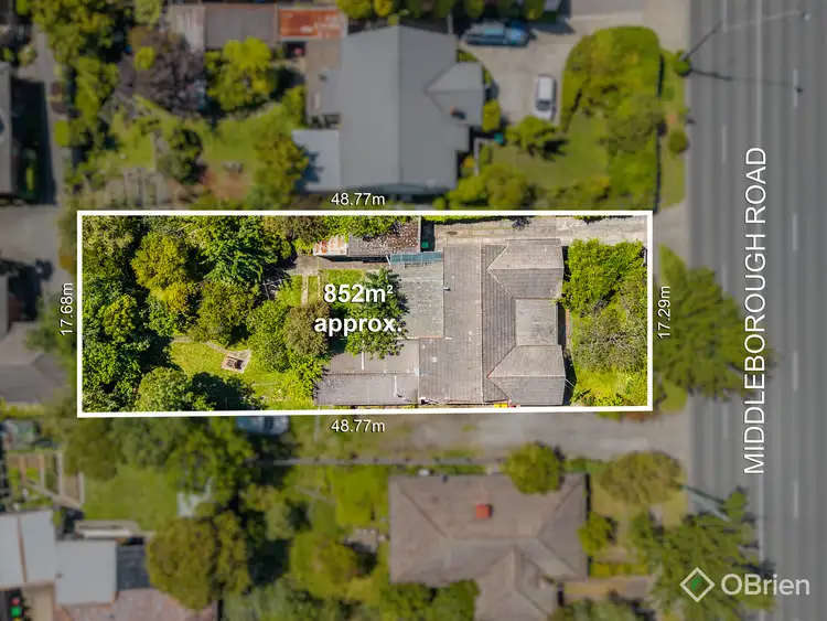 Second view of Homely house listing, 33 Middleborough Road, Burwood VIC 3125