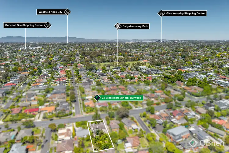Third view of Homely house listing, 33 Middleborough Road, Burwood VIC 3125
