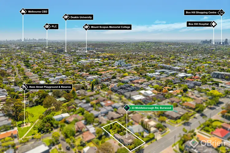 Fifth view of Homely house listing, 33 Middleborough Road, Burwood VIC 3125