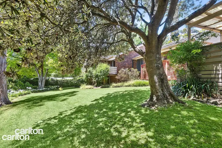 6 Acacia Street